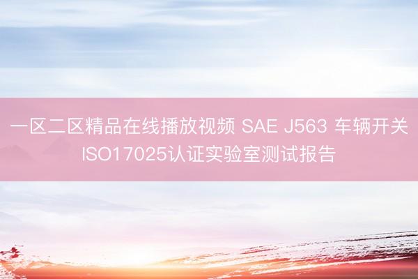 一区二区精品在线播放视频 SAE J563 车辆开关ISO17025认证实验室测试报告