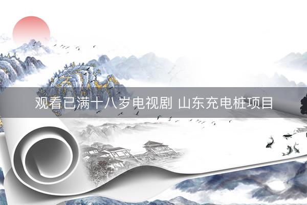 观看已满十八岁电视剧 山东充电桩项目