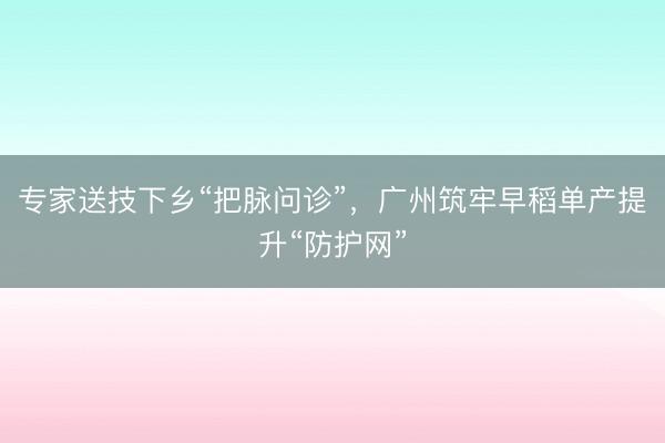 专家送技下乡“把脉问诊”，广州筑牢早稻单产提升“防护网”