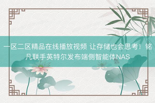一区二区精品在线播放视频 让存储也会思考！铭凡联手英特尔发布端侧智能体NAS