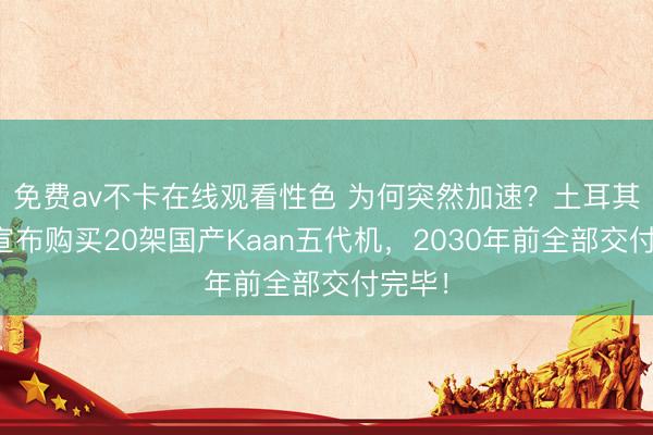 免费av不卡在线观看性色 为何突然加速？土耳其空军宣布购买20架国产Kaan五代机，2030年前全部交付完毕！