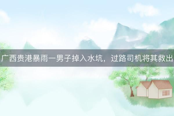 广西贵港暴雨一男子掉入水坑，过路司机将其救出