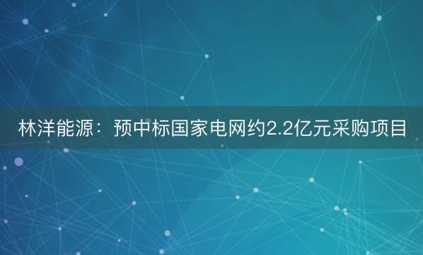 林洋能源：预中标国家电网约2.2亿元采购项目
