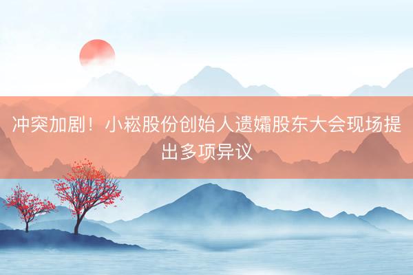 冲突加剧！小崧股份创始人遗孀股东大会现场提出多项异议