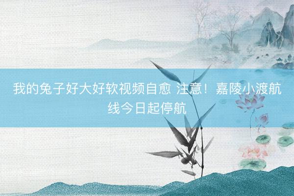 我的兔子好大好软视频自愈 注意！嘉陵小渡航线今日起停航