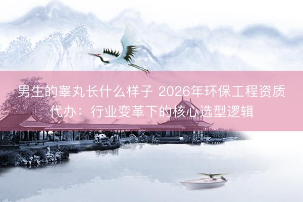 男生的睾丸长什么样子 2026年环保工程资质代办:行业变革下的核心选型逻辑