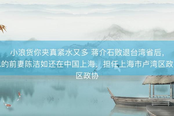 小浪货你夹真紧水又多 蒋介石败退台湾省后，他的前妻陈洁如还在中国上海，担任上海市卢湾区政协