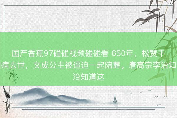 国产香蕉97碰碰视频碰碰看 650年，松赞干布因病去世，文成公主被逼迫一起陪葬。唐高宗李治知道这