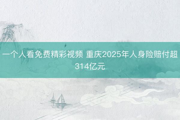 一个人看免费精彩视频 重庆2025年人身险赔付超314亿元