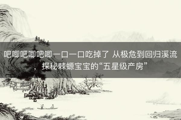 吧唧吧唧吧唧一口一口吃掉了 从极危到回归溪流，探秘棘螈宝宝的“五星级产房”