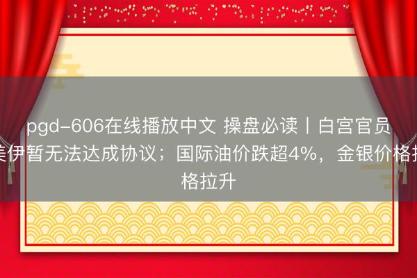 pgd-606在线播放中文 操盘必读丨白宫官员称美伊暂无法达成协议；国际油价跌超4%，金银价格拉升