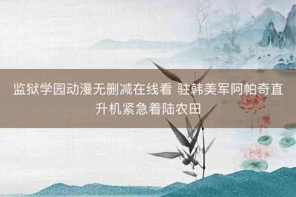 监狱学园动漫无删减在线看 驻韩美军阿帕奇直升机紧急着陆农田