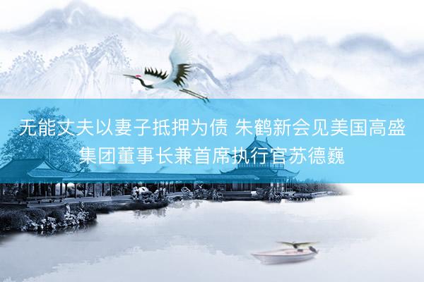 无能丈夫以妻子抵押为债 朱鹤新会见美国高盛集团董事长兼首席执行官苏德巍