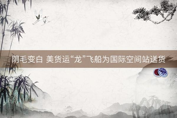 阴毛变白 美货运“龙”飞船为国际空间站送货