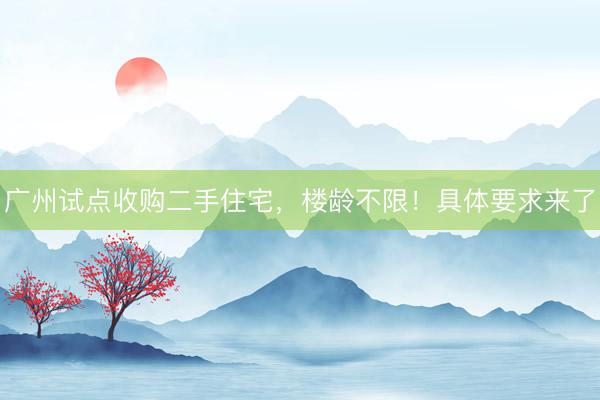 广州试点收购二手住宅，楼龄不限！具体要求来了