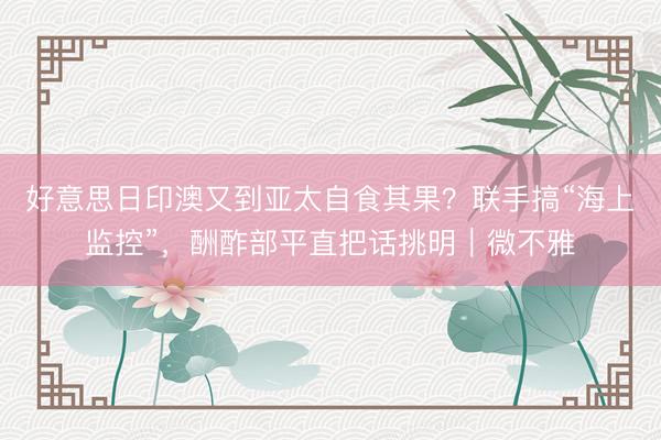 好意思日印澳又到亚太自食其果？联手搞“海上监控”，酬酢部平直把话挑明｜微不雅