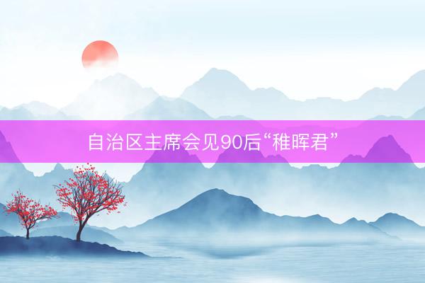 自治区主席会见90后“稚晖君”