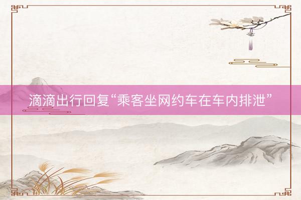 滴滴出行回复“乘客坐网约车在车内排泄”