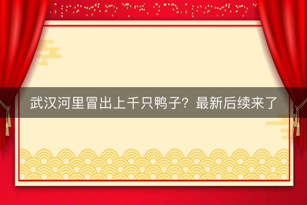 武汉河里冒出上千只鸭子?最新后续来了