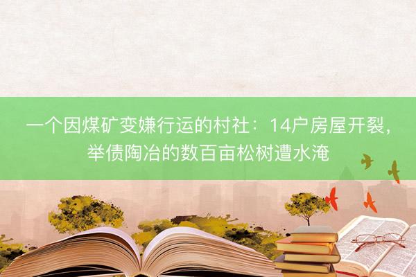 一个因煤矿变嫌行运的村社：14户房屋开裂，举债陶冶的数百亩松树遭水淹