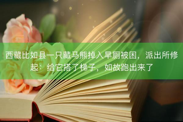 西藏比如县一只藏马熊掉入旱厕被困，派出所修起：给它搭了梯子，如故跑出来了