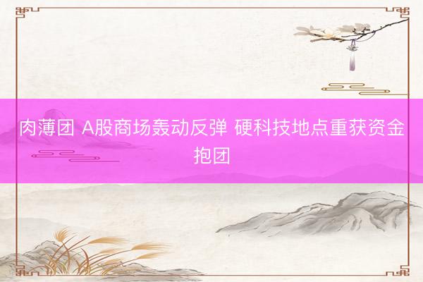 肉薄团 A股商场轰动反弹 硬科技地点重获资金抱团