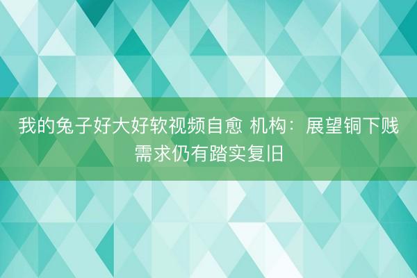 我的兔子好大好软视频自愈 机构：展望铜下贱需求仍有踏实复旧