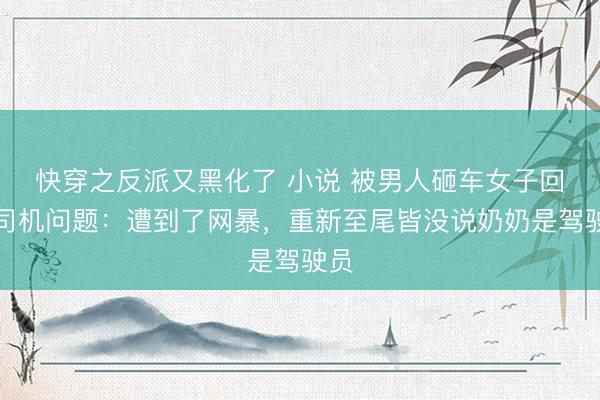 快穿之反派又黑化了 小说 被男人砸车女子回答司机问题：遭到了网暴，重新至尾皆没说奶奶是驾驶员