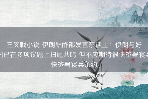 三叉戟小说 伊朗酬酢部发言东谈主：伊朗与好意思国已在多项议题上扫尾共鸣 但不应期待很快签署寝兵条约