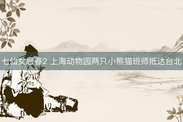 七仙女思春2 上海动物园两只小熊猫班师抵达台北