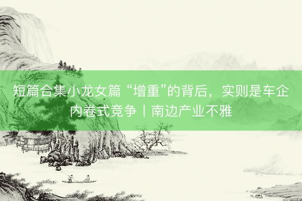 短篇合集小龙女篇 “增重”的背后，实则是车企内卷式竞争丨南边产业不雅