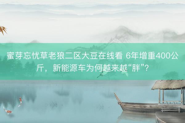 蜜芽忘忧草老狼二区大豆在线看 6年增重400公斤，新能源车为何越来越“胖”？