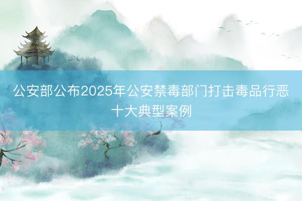 公安部公布2025年公安禁毒部门打击毒品行恶十大典型案例