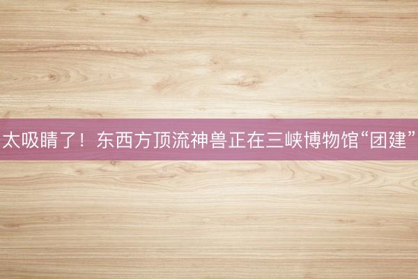 太吸睛了！东西方顶流神兽正在三峡博物馆“团建”