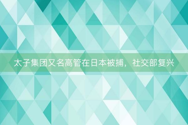 太子集团又名高管在日本被捕，社交部复兴