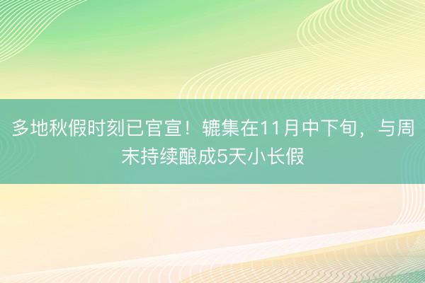 多地秋假时刻已官宣！辘集在11月中下旬，与周末持续酿成5天小长假