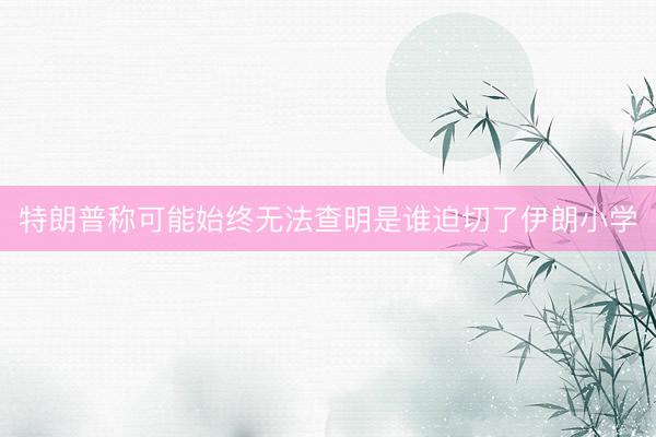特朗普称可能始终无法查明是谁迫切了伊朗小学